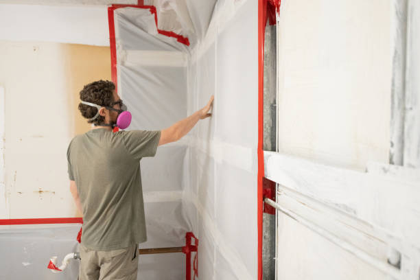 Mold Removal for HVAC Installations in Security Widefield, CO
